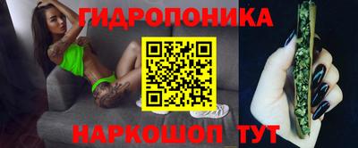 мяу мяу мука Новокубанск