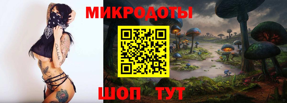Галлюциногенные грибы Cubensis  Вход с VPN  Сибай  Галлюциногенные грибы мицелий 