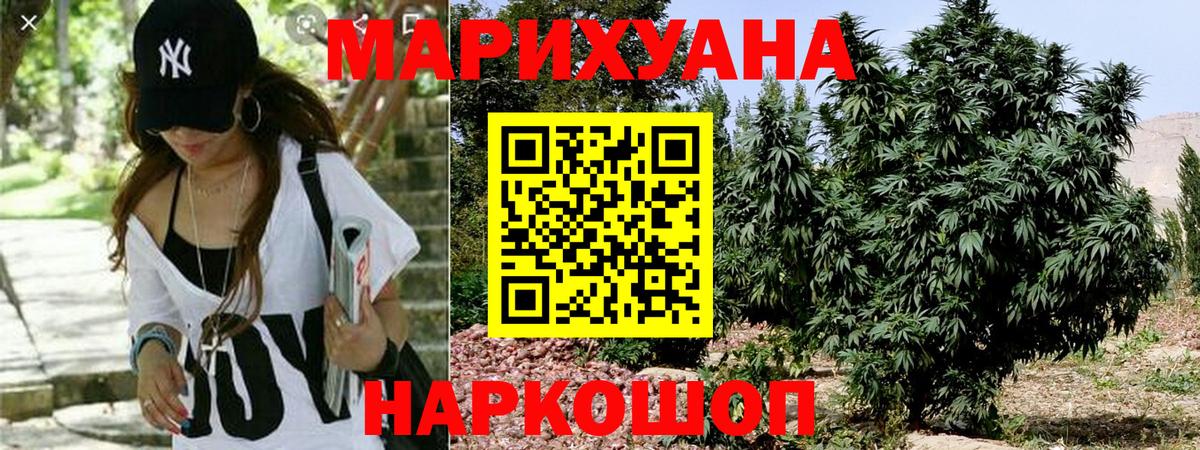 Сибай  Бошки Шишки гибрид  Шишки марихуана план  Вход с VPN  Бошки Шишки план  Канабис SATIVA & INDICA 